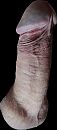 een opzitstuk  of een......., foto 1400x3156, 0 reacties, 3 stemmen