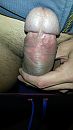 eikel, foto 1836x3264, 1 reacties, 3 stemmen