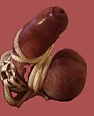 en dat is nou míjn sextoy !, foto 1239x1530, 0 reacties, 8 stemmen