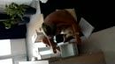 even klusen, film 00:00:00, 9 reacties, 83 stemmen