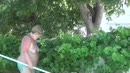even zwembad schoonmaken..., film 00:00:00, 2 reacties, 47 stemmen