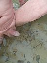 even afkoeling, foto 3000x4000, 2 reacties, 8 stemmen