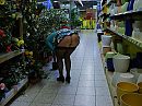 even boodschappen doen, foto 553x415, 23 reacties, 133 stemmen