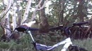 fietsen, film 00:00:00, 2 reacties, 11 stemmen