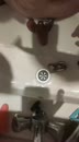 gecleaned en weer op slot, film 00:00:00, 4 reacties, 17 stemmen