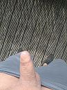 geil op de uitkijk.., foto 540x720, 6 reacties, 12 stemmen