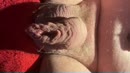 geil op skype, film 00:00:20, 5 reacties, 13 stemmen