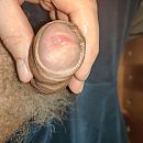 geil, foto 3000x3000, 1 reacties, 3 stemmen