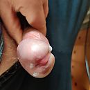 geil, foto 3000x3000, 1 reacties, 4 stemmen