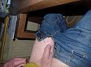 geil, foto 4000x3000, 1 reacties, 4 stemmen