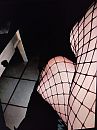 gek op visnet kousen, foto 1500x2000, 3 reacties, 8 stemmen