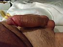 gisteren, foto 4000x3000, 2 reacties, 8 stemmen
