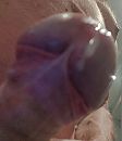 goedemorgen Dames...., foto 2302x2648, 1 reacties, 1 stemmen