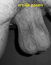goeie morgen deze zondag, foto 1696x2157, 7 reacties, 10 stemmen