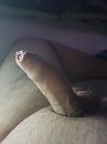 hard, foto 3000x4000, 12 reacties, 17 stemmen