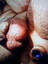 heeft ook wel iets stoers ...., foto 3000x4000, 0 reacties, 1 stemmen