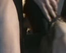 heerlijk hoor onder toezicht, film 00:00:11, 10 reacties, 89 stemmen