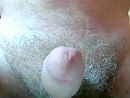 heet, foto 642x488, 2 reacties, 4 stemmen