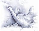 hhmm, foto 506x406, 53 reacties, 78 stemmen