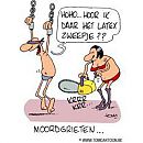 hihi, foto 236x236, 2 reacties, 14 stemmen