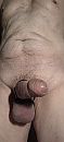 hm, foto 1504x3264, 6 reacties, 17 stemmen