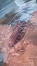 hoe lekker in de jacuzzi stijf, foto 2160x3840, 11 reacties, 20 stemmen