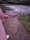 in de natuur, foto 3000x4000, 2 reacties, 6 stemmen