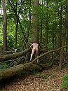 in het bos, foto 3000x4000, 2 reacties, 14 stemmen