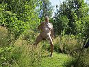 in het bos, foto 4000x3000, 1 reacties, 6 stemmen