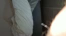inspectie, film 00:00:00, 2 reacties, 5 stemmen
