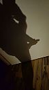 je ziet wel wat, foto 2242x4000, 1 reacties, 3 stemmen