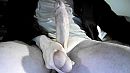jou mond er over, foto 800x450, 1 reacties, 4 stemmen