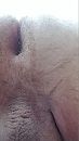 kikvorsperpectief, foto 1620x2880, 1 reacties, 4 stemmen