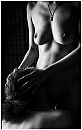 koppel, foto 467x731, 6 reacties, 17 stemmen