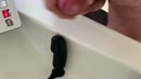 kwakje in de wasbak, film 00:00:21, 6 reacties, 14 stemmen