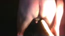 lekker op z'n hondjes..., film 00:00:00, 4 reacties, 13 stemmen