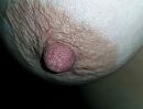 lekker hard tepeltje, foto 1337x1024, 9 reacties, 25 stemmen