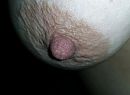lekker hard, foto 710x522, 4 reacties, 24 stemmen