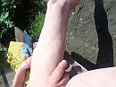 lekker in de zon, foto 4000x3000, 1 reacties, 6 stemmen