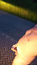lekker naakt showen, foto 1194x2122, 2 reacties, 15 stemmen