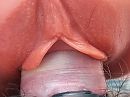 lekker nat, foto 4000x3000, 1 reacties, 6 stemmen