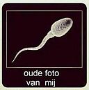 leuk, foto 223x226, 0 reacties, 2 stemmen