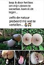 leuk, foto 720x1061, 0 reacties, 4 stemmen