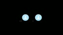 lief sletje camsessie, film 00:00:00, 6 reacties, 18 stemmen
