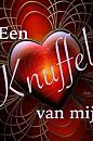love it, foto 320x480, 3 reacties, 13 stemmen