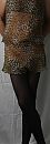 luipaard 2, foto 674x1938, 0 reacties, 3 stemmen