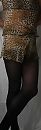 luipaard 3, foto 606x1898, 0 reacties, 5 stemmen