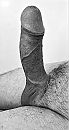 me19, foto 1012x1886, 2 reacties, 5 stemmen