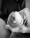 me20, foto 1196x1514, 1 reacties, 4 stemmen