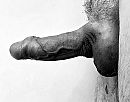 me20, foto 1996x1576, 2 reacties, 4 stemmen